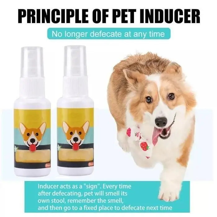 Natural Potty Training Spary for Dog & Cat (Pack of 2) 30ml each - CrazySuperStore
