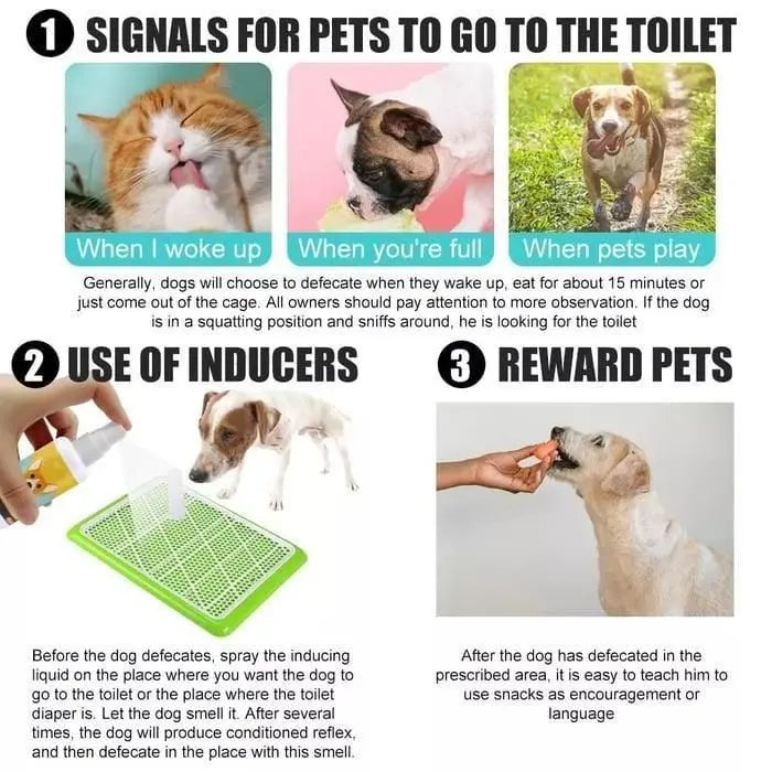 Natural Potty Training Spary for Dog & Cat (Pack of 2) 30ml each - CrazySuperStore