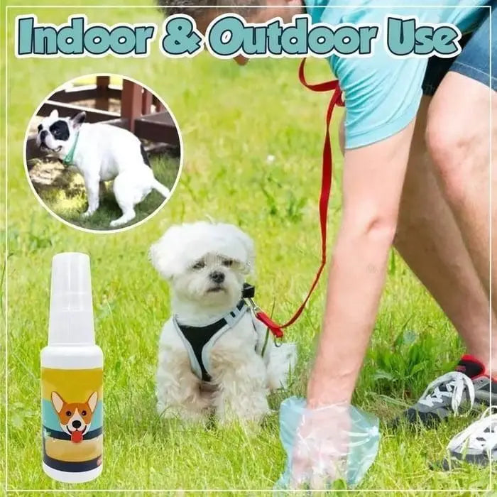 Natural Potty Training Spary for Dog & Cat (Pack of 2) 30ml each - CrazySuperStore