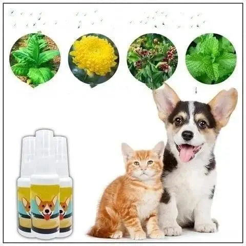Natural Potty Training Spary for Dog & Cat (Pack of 2) 30ml each - CrazySuperStore