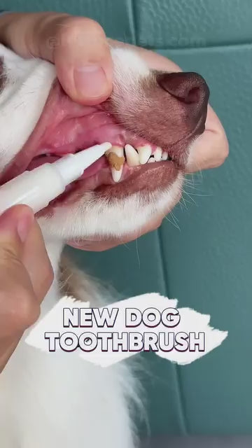 Best and safest mini size Toothbrush for Dogs